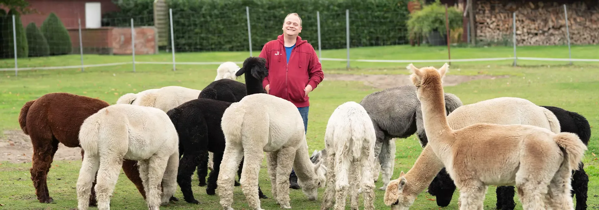 emsige alpakas delbrueck hofpatenschaft pate werden 