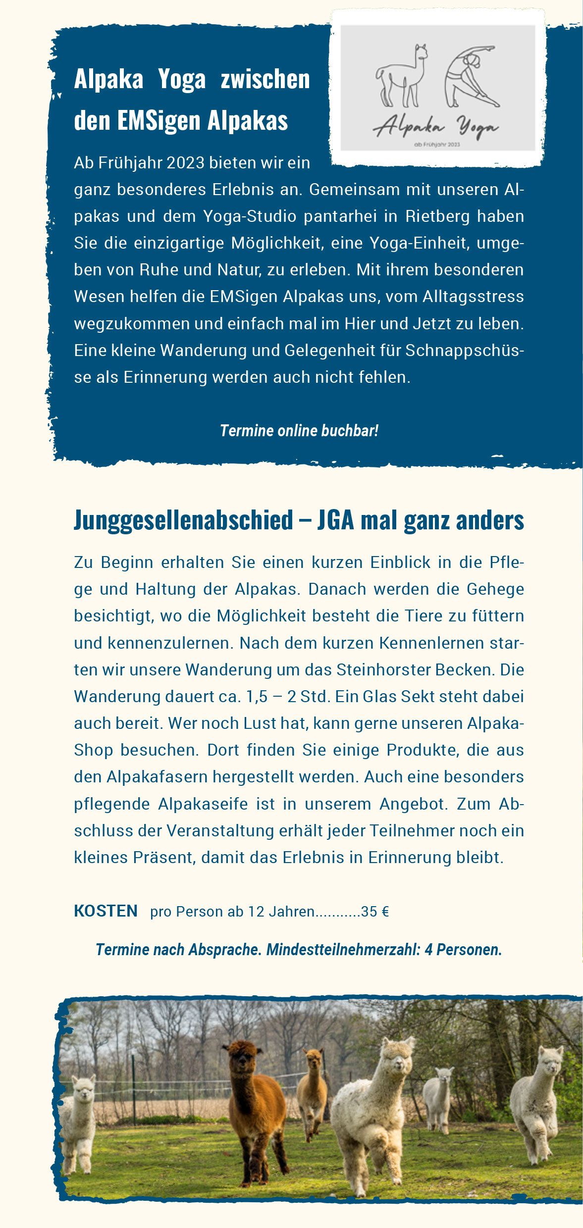 emsige-alpaka-steinhorster-becken-flyer-04