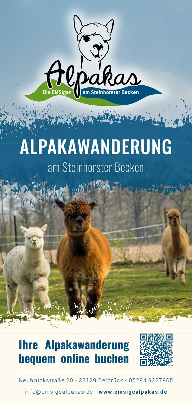 emsige-alpaka-steinhorster-becken-flyer-01