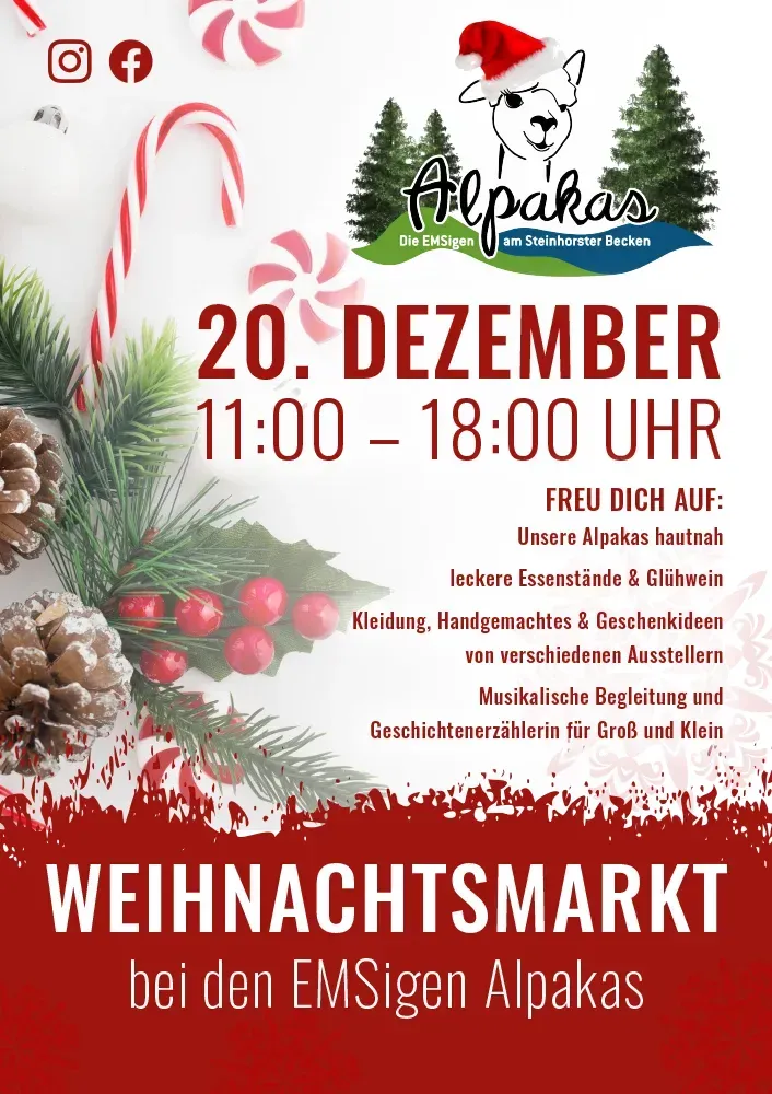 emsige alpakas steinhorst weihnachtsmarkt