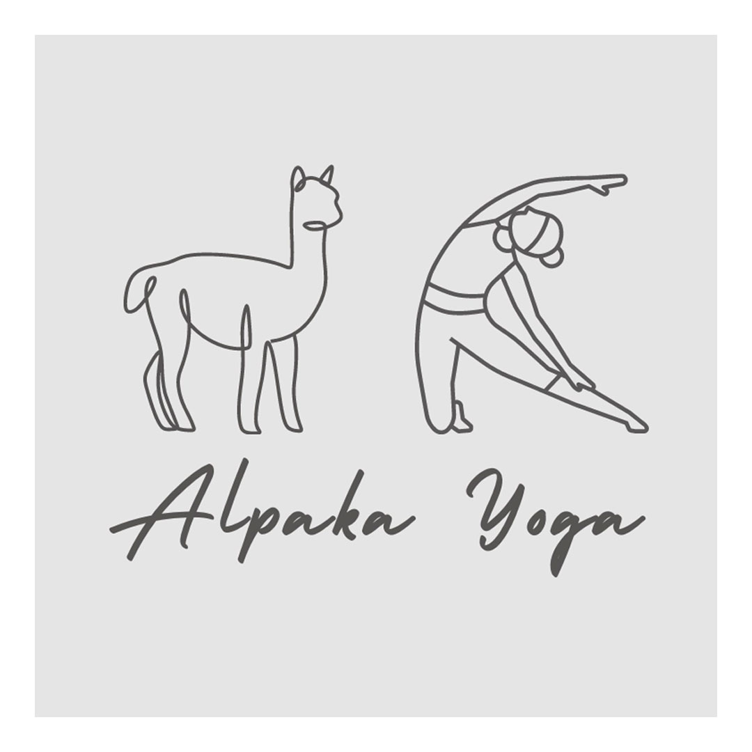 emsige alpakas steinhorst alpaka yoga