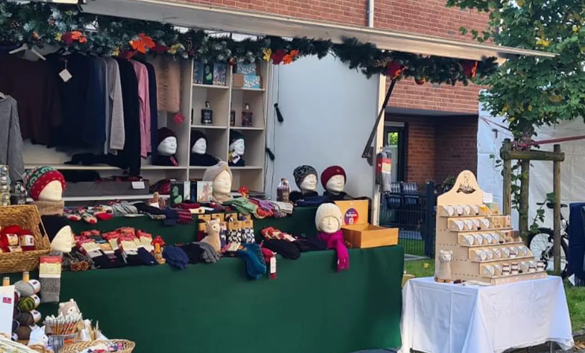 emsige alpakas steinhorst verkaufswagen anhänger