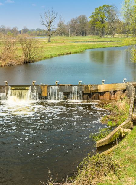 emsige alpakas delbrück steinhorster becken