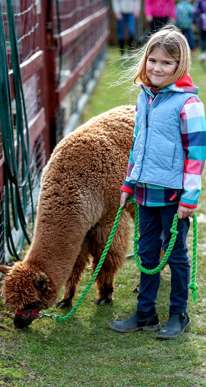 Alpakas in Delbrück Steinhorster becken kindergeburtstag